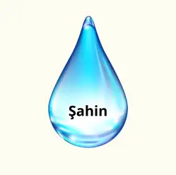 Şahin