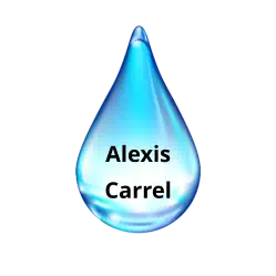 Alexis Carrel