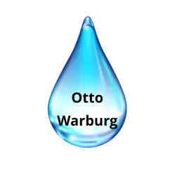 Otto Warburg