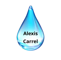 Alexis Carrel