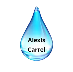 Alexis Carrel