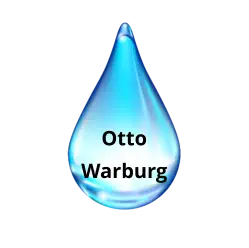 Otto Warburg