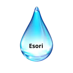 Esori