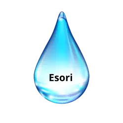 Esori