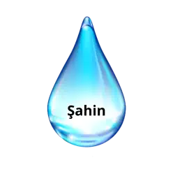 Şahin