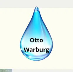 Otto Warburg