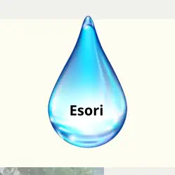 Esori