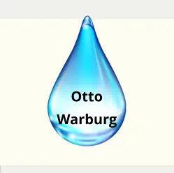 Otto Warburg