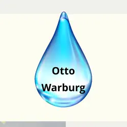 Otto Warburg