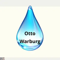 Otto Warburg